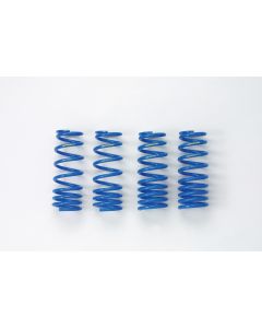 PROGRESSIVE LOWERING SPRINGS 