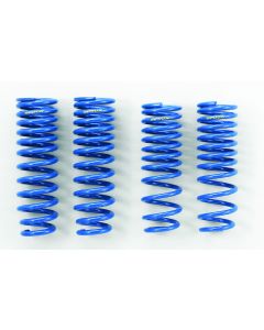 PROGRESSIVE LOWERING SPRINGS 