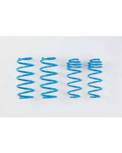 PROGRESSIVE LOWERING SPRINGS 